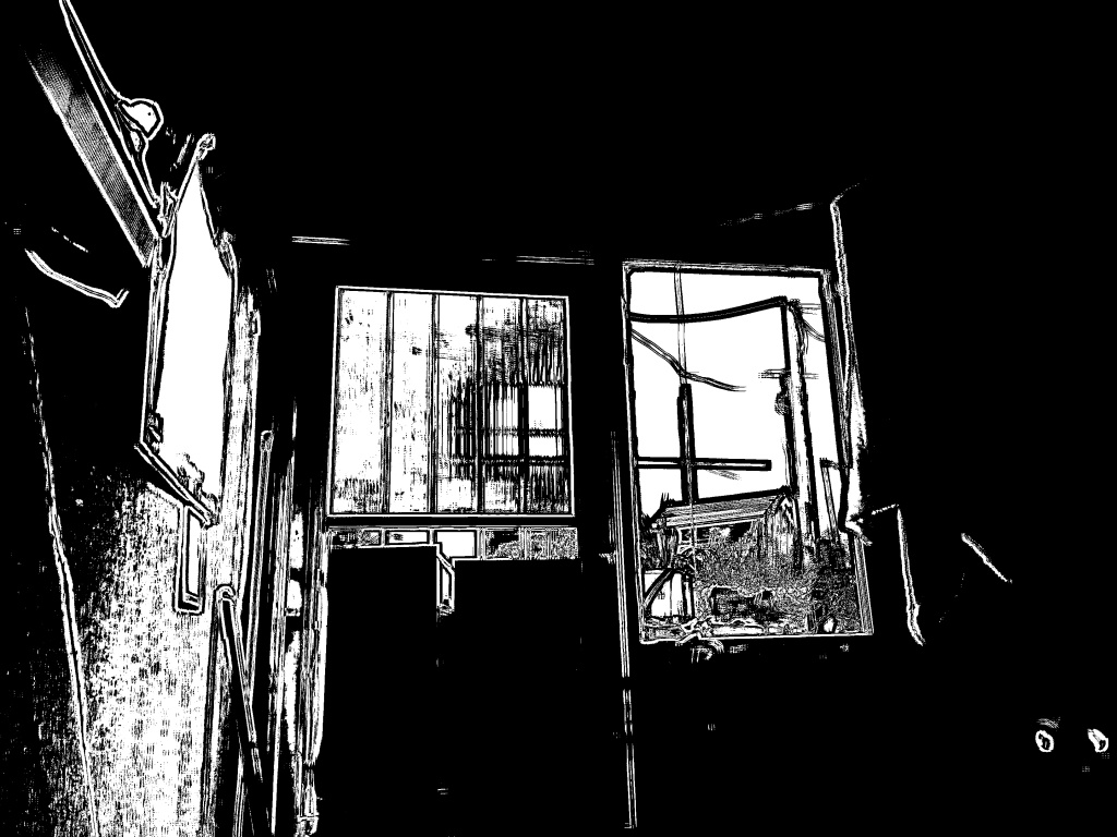 Fotografia em preto e branco de uma porta e janela vistas de dentro. Fios e plantas são visíveis do lado de fora. Um filtro na fotografia a torna apenas linhas grossas com poucos pontos de luz.