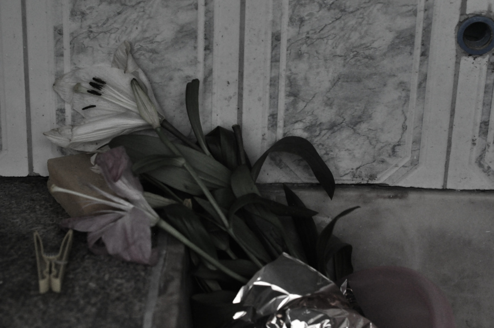 Fotografia de um ramo de flores jogadas dentro de um tanque, com algumas flores caídas sobre uma barra de sabão. Um prendedor de roupas está ao lado. A foto tem as cores dessaturadas.
